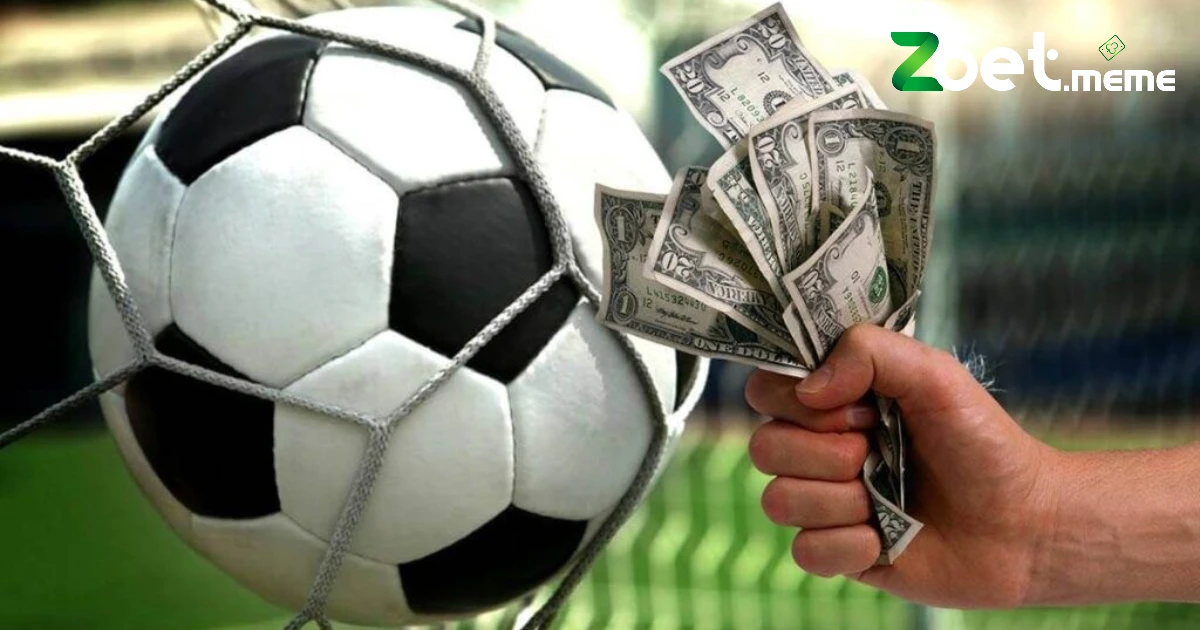 Giới thiệu về bảo hiểm cá cược ZBET