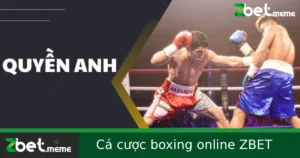 Cá cược boxing online – Môn thể thao cực nóng tại Zbet