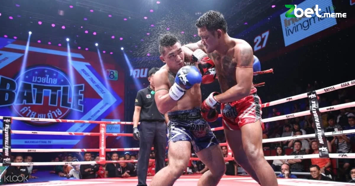 Cá cược boxing online có nhiều loại cược đa dạng khác nhau