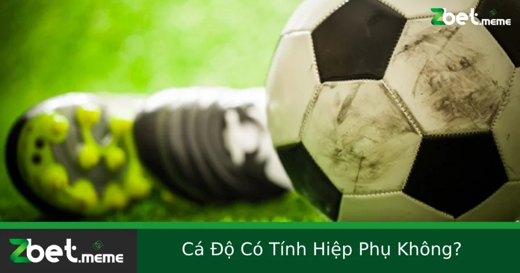 Cá Độ Có Tính Hiệp Phụ Không? Giải Thích Rõ Ràng Từ ZBET