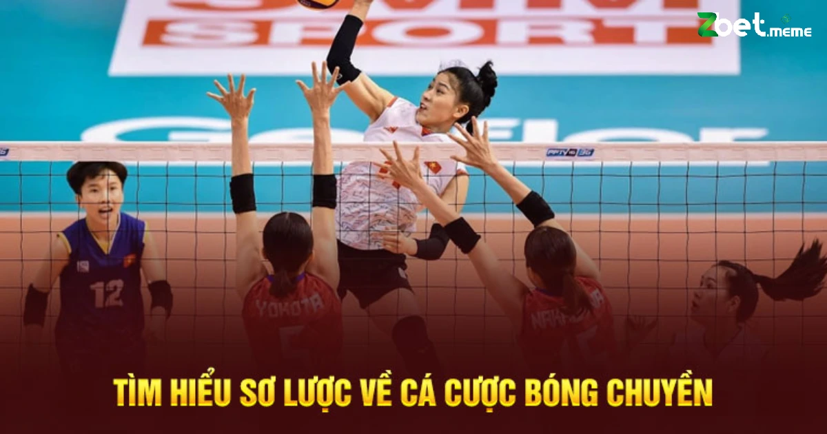 Chúng ta sẽ cùng khám phá bốn loại kèo nổi bật nhất mà người chơi thường lựa chọn trong cách cá cược bóng chuyền