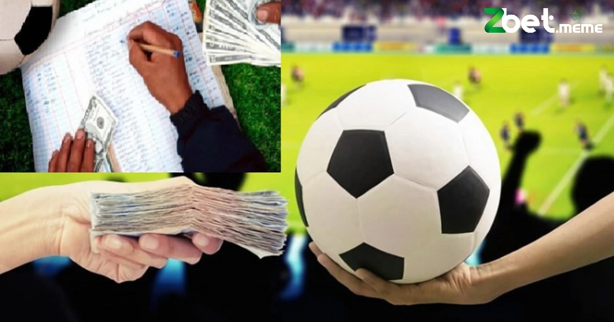 Những cách cò cá độ hiệu quả tại nhà cái ZBET